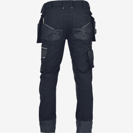 CERVA NEURUM NORDICS